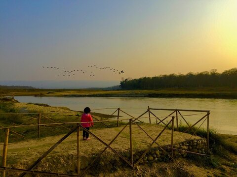 Scenic view of a kid looking at the group of birds flying in the sunset sky in Sauraha, Nepal