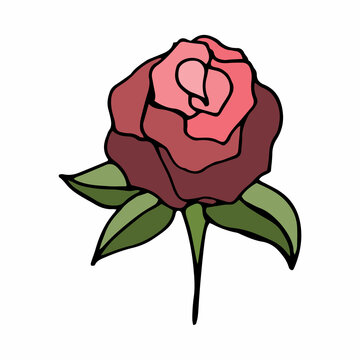 "Classic blooming red rose bud isolated on white, vector illustration. Rose flower, blooming plant. Garden rose isolated icon of red, pink and violet blossom and bud with green leaf for romantic 