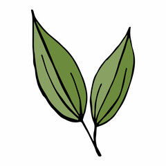 Floral graphic element vector. Leaf, a part of plant, hand drawn illustration. Clipart for design.
