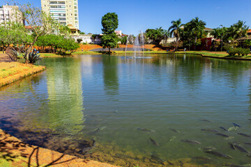 Detalhe de uma vista do Parque Ambiental do Ipiranga na cidade de Anápolis.