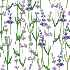 Seamless watercolor pattern with lavender flowers on a white background.
