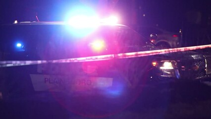 Police emergency lights at night blurred on car close up