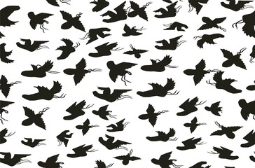 FLYING SHOES PATTERN