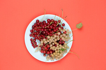 top view of plate with currant berries