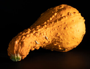 Color from a large yellow squash reflecting on a dark background