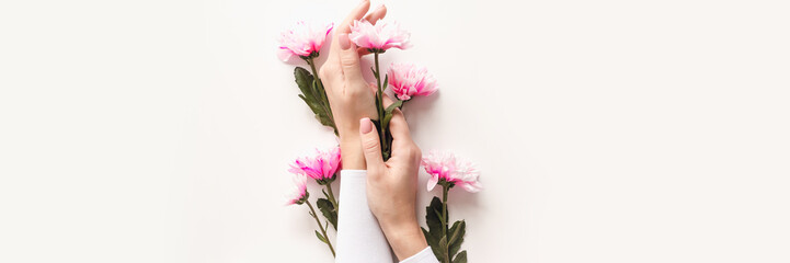 Hands of a girl with a nude manicure in flowers on a white background with pink chrysanthemums. The concept of caring for the skin of hands. Web banner