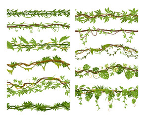 Tropical liana branches cartoon borders, creepers seamless dividers. Jungle hanging roots vegetated green foliage and flowers vector illustration set. Rainforest garden liana plants - obrazy, fototapety, plakaty