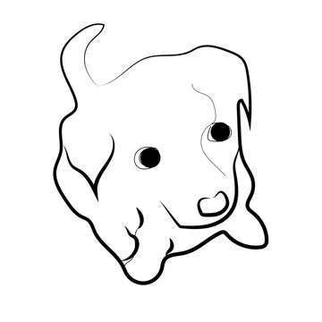 illustration of a puppy