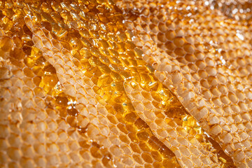 Drops of thick golden honey flowing along the frame of honeycombs. Honey pouring and dripping along honeycomb cells in the apiary. A sweet honey product produced by bees. Beekeeping. Extra close up.