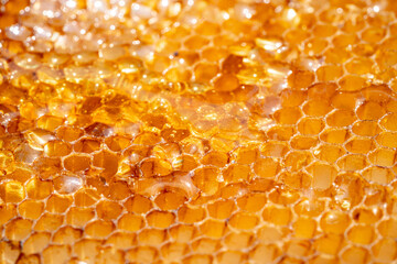 Drops of thick golden honey flowing along the frame of honeycombs. Honey pouring and dripping along honeycomb cells in the apiary. A sweet honey product produced by bees. Beekeeping. Extra close up.
