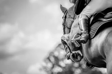 Deurstickers Horse Jumping, Equestrian Sports, Show Jumping themed photo. © Marcin Kilarski/Wirestock Creators