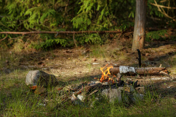 Close up of burning timber bonfire in summer forest..The concept of adventure, travel, tourism, camping, survival and evacuation.