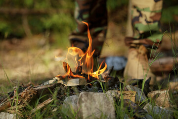 Close up of burning timber bonfire in summer forest..The concept of adventure, travel, tourism, camping, survival and evacuation.