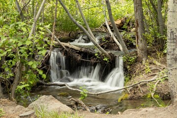 Waterfall in the famous Thomas Creek trail