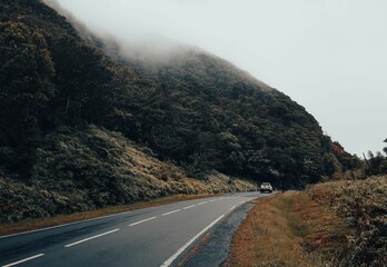 Car on an asphalt road near a green rock on a foggy morning