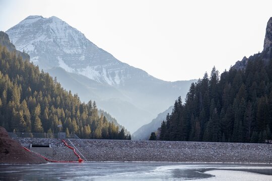 Beautiful view of the river surrounded by trees in Tibble fork Utah
