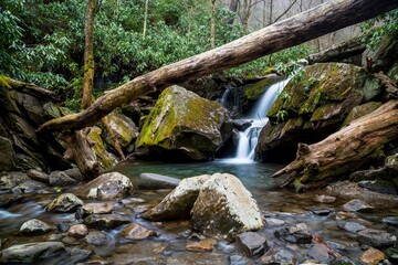 Scenic view of a small river flowing in a forest surrounded by rocks and wild nature