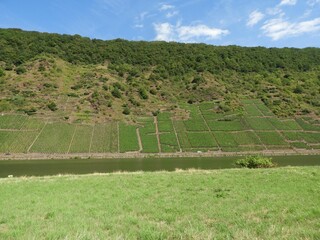 Beautiful landscape of agricultural fields on a slope of a hill near a river