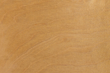 Obraz premium Rustic nature wood background. Natural wooden beige texture with copy space 