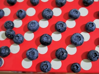 Blueberry fruits on the red pattern background