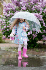 A sweet girl of five years with a transparent umbrella against the background of blooming lilacs...