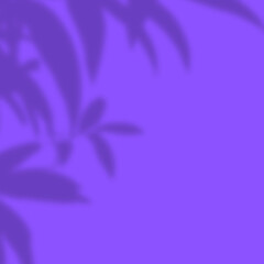 Fototapeta na wymiar purple flower on a green background