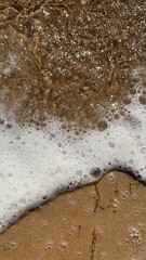 Sea foam on the sand