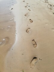 footprints on the beach