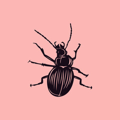 spider vector with small legs depicting ants