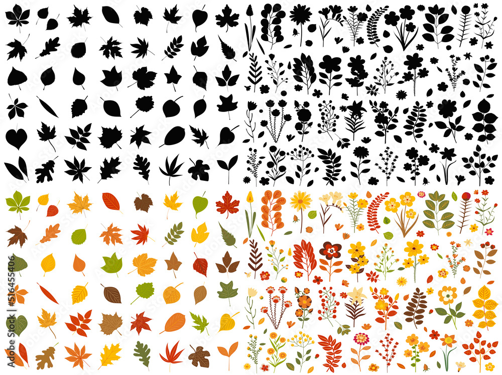 Wall mural autumn plants and leaves set in flat style, isolated, vector