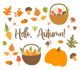 Vector set Hello, Autumn. Autumn harvest, wicker basket with forest mushrooms and carrots, edible mushroom and acorn, pumpkin, and autumn leaves. Isolated elements for fall decor, design, print.