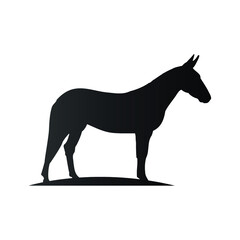 horse silhouette isolated on white