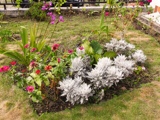 Arreglo de flores rojas y fucsia y helecho blanco plantada en el jardín