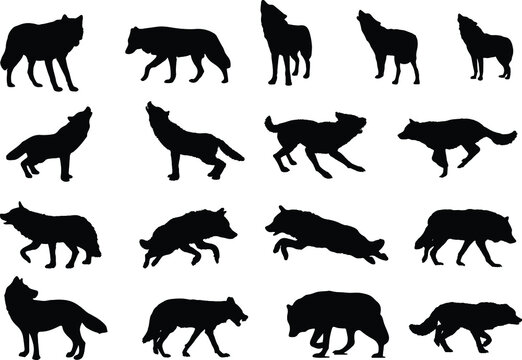 The set of different styles of Wolf silhouette