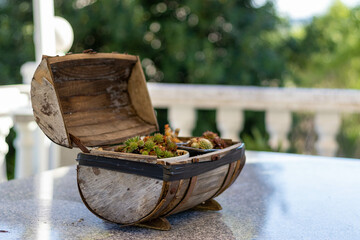  little barrel with cactus inside