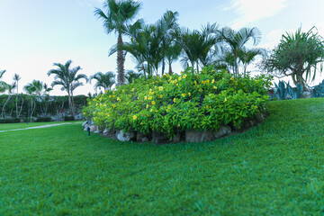 tropical garden scene