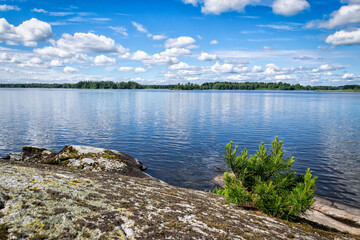 Fototapeta na wymiar Beautiful lake coast landscape in June
