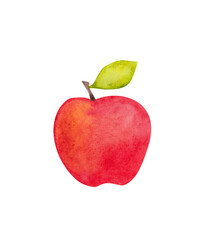 apple watercolor