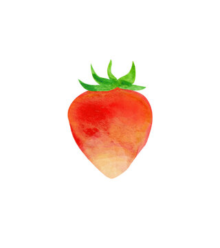 strawberry watercolor
