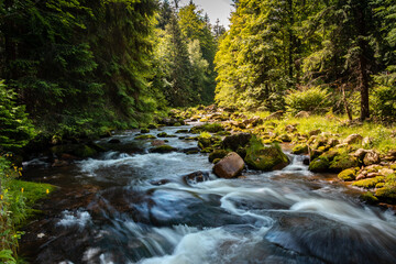 Fototapeta mountain stream in karkonosze national park in poland in summer obraz