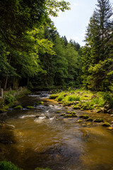 Fototapeta na wymiar mountain stream in karkonosze national park in poland in summer