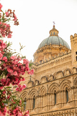 cathedral city palermo sicily italy in summer