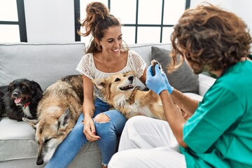 Man and woman wearing veterinarian uniform examining hoof dog at home
