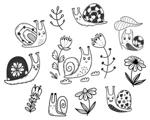 Collection of cute snails and decorative flowers. Linear hand drawn doodle. Vector illustration. Isolated elements of Funny shellfish and flowers for design and decor