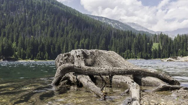 Misox Images Browse 41 Stock Photos, Vectors, and Video Adobe Stock