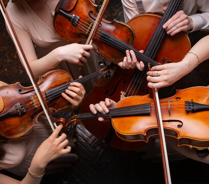 String quartet (violins, cello, alt (viola)), view from above