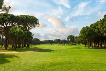 Panoramic view of beautiful golf course with pines on sunny day. Golf field with fairway, lake and pine-trees