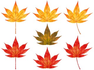 秋の紅葉　もみじパーツセット