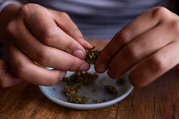 manos seleccionando marihuana (Cannabis) para armar un blunt. Concepto de medicina natural. © artrolopzimages