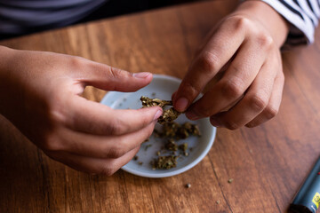 manos seleccionando marihuana (Cannabis) para armar un blunt. Concepto de medicina natural.